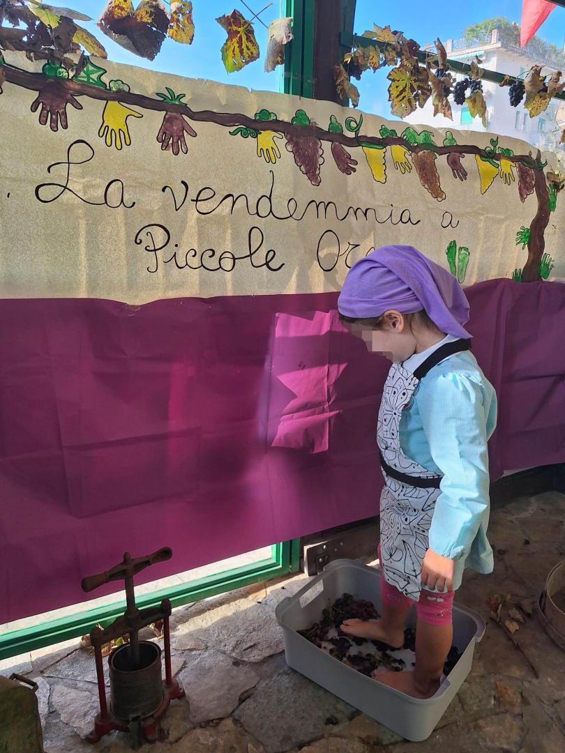 Esperienza della vendemmia dei bambini di Piccole Orme